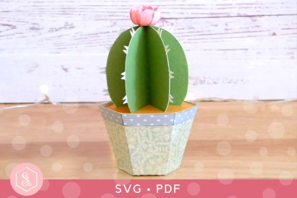 3D SVG Cactus Favour Box & Paper Flowers Craft Review